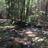 Review photo of Hickory Creek Trail Backcountry Campground by Asher K., September 29, 2017