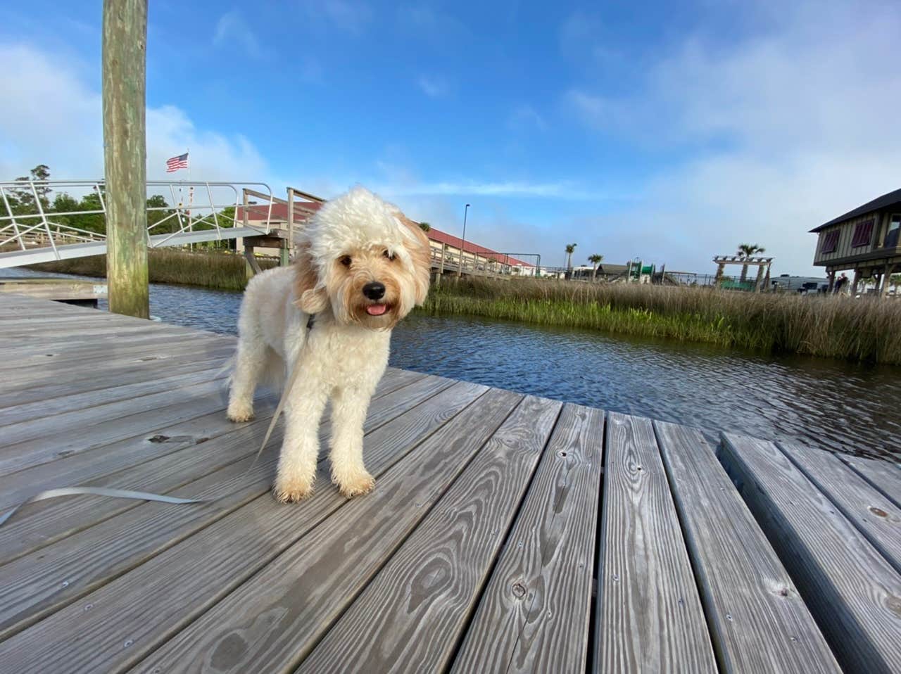 Camper submitted image from North Myrtle Beach RV Resort and Dry Dock Marina - 5