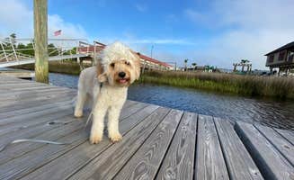 Zach H.'s photo of camping with pets at North Myrtle Beach RV Resort and Dry Dock Marina near North Myrtle Beach, SC