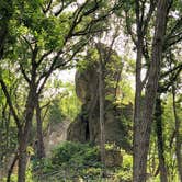 Review photo of Mississippi Palisades State Park Campground by GoWhereYouAreDraw N., May 16, 2020