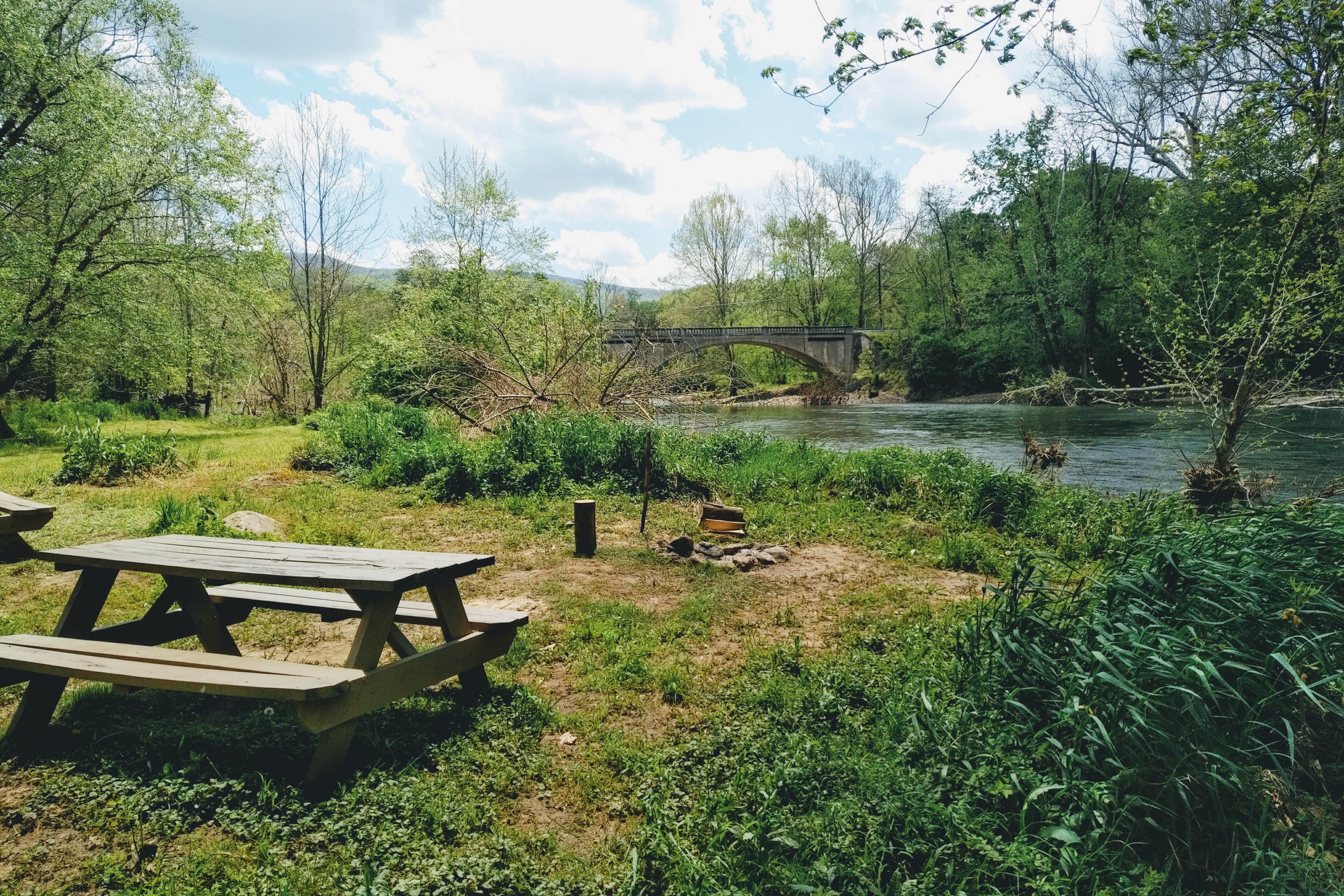 Camper submitted image from Stoney Creek Campground - 2