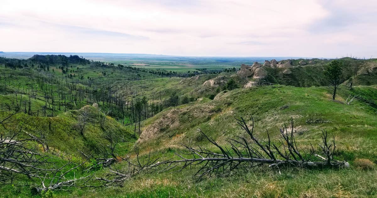 Pine Ridge Dispersed Camping