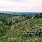 Review photo of Pine Ridge Dispersed Camping by Marc G., May 19, 2020