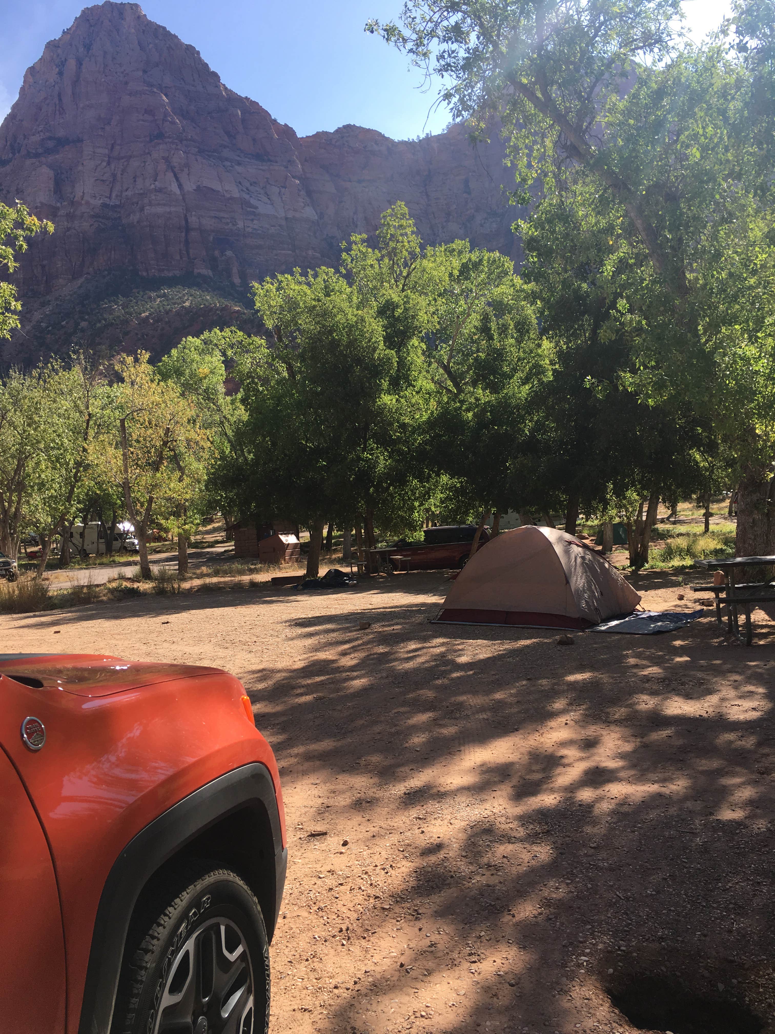 Cynthia C.'s photo at South Campground — Zion National Park near Zion National Park