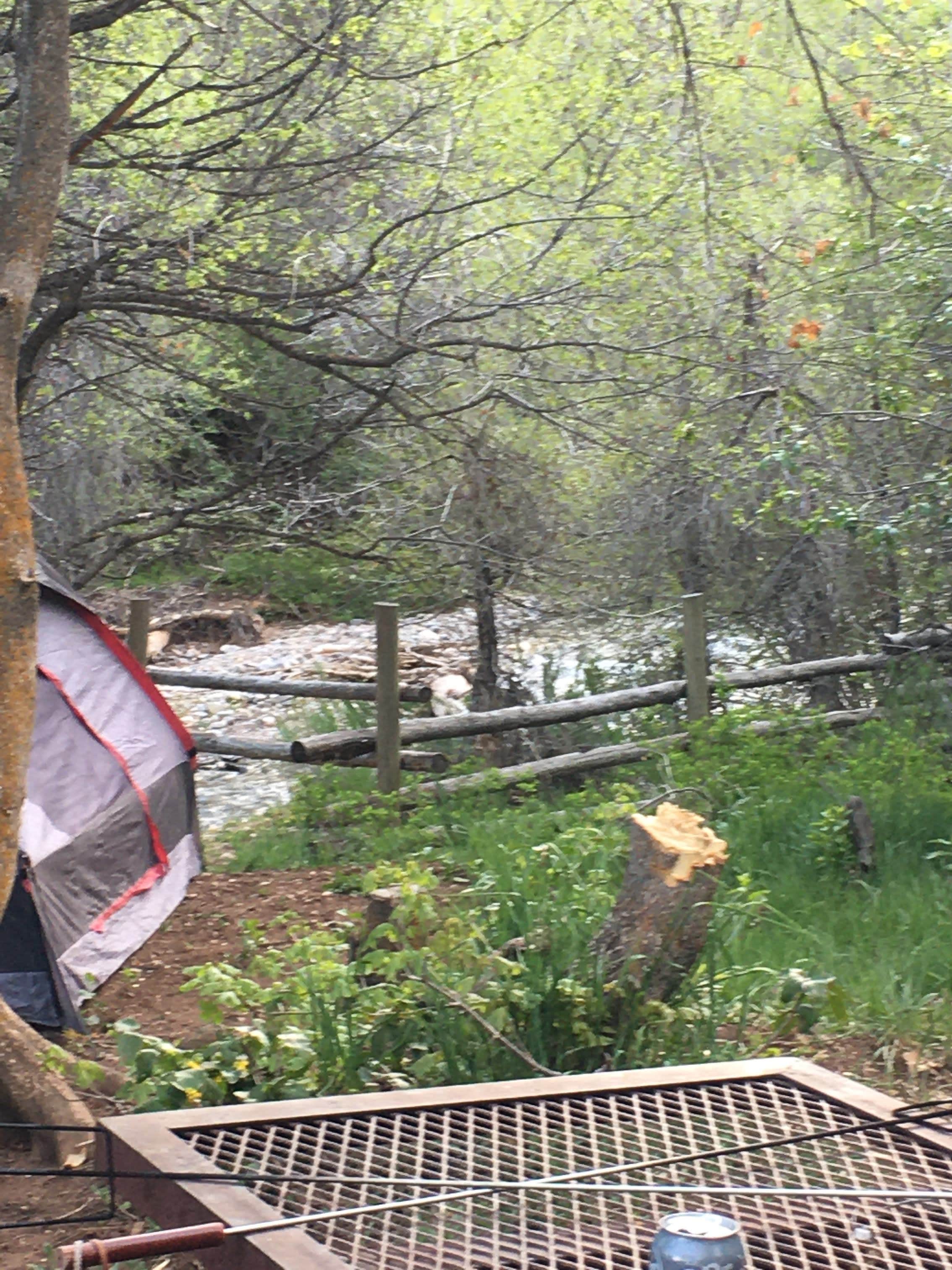 LaDell G.'s photo at Ponderosa Uinta near Eureka, UT