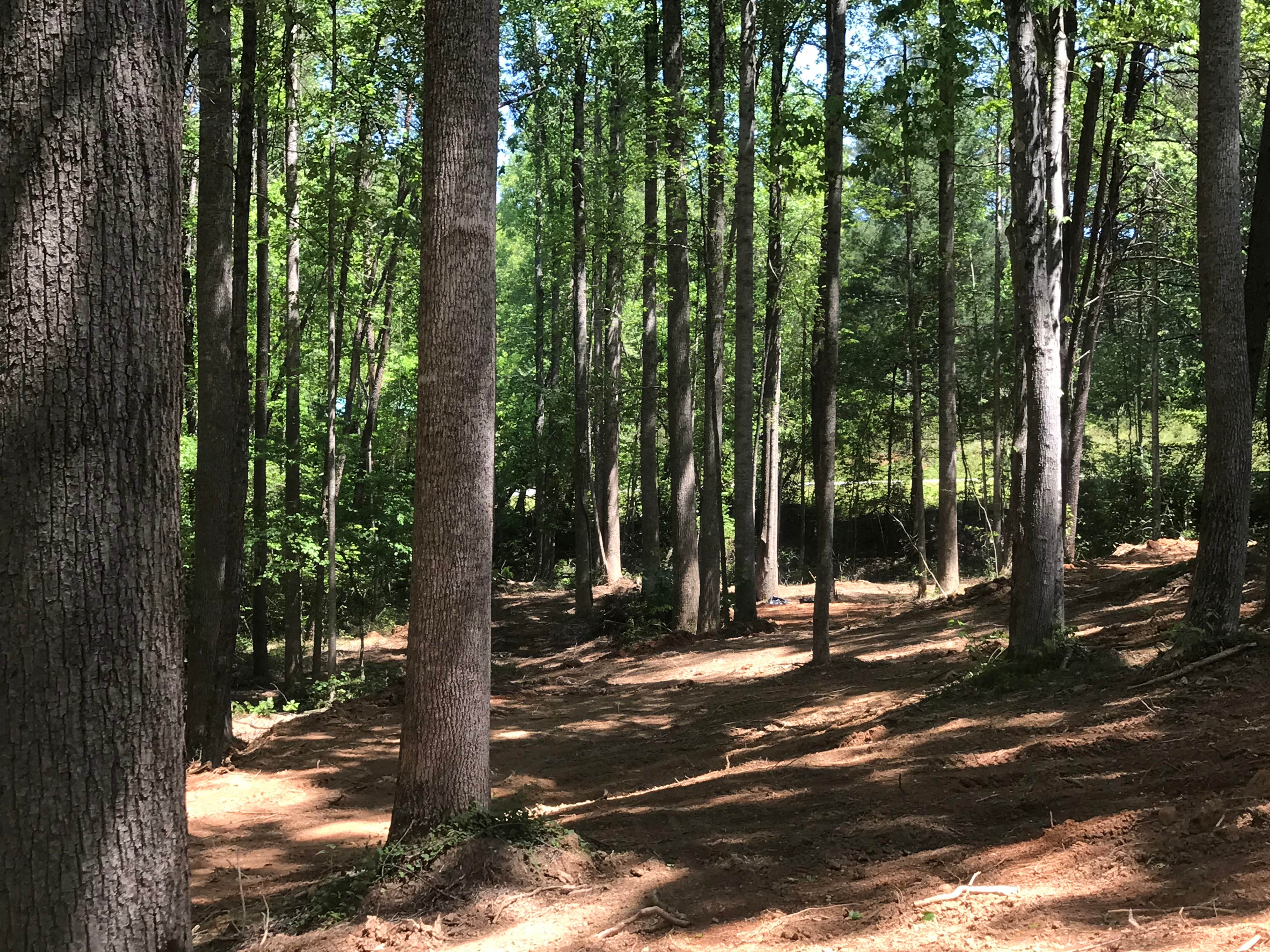 Camper-submitted photo at Maple Ridge RV Park near Tryon, NC