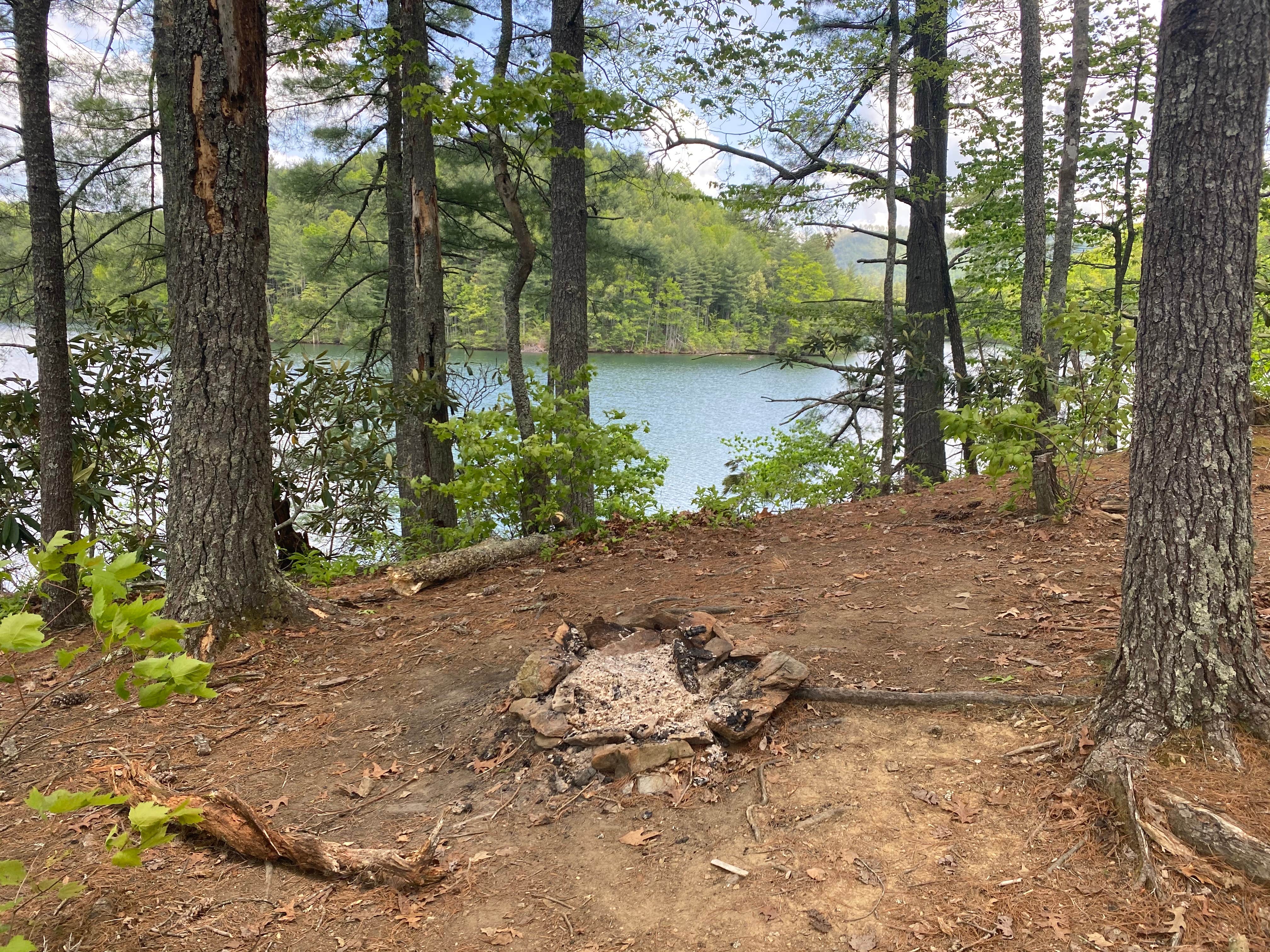 Camper submitted image from Lake Santeetlah Dispersed - 3