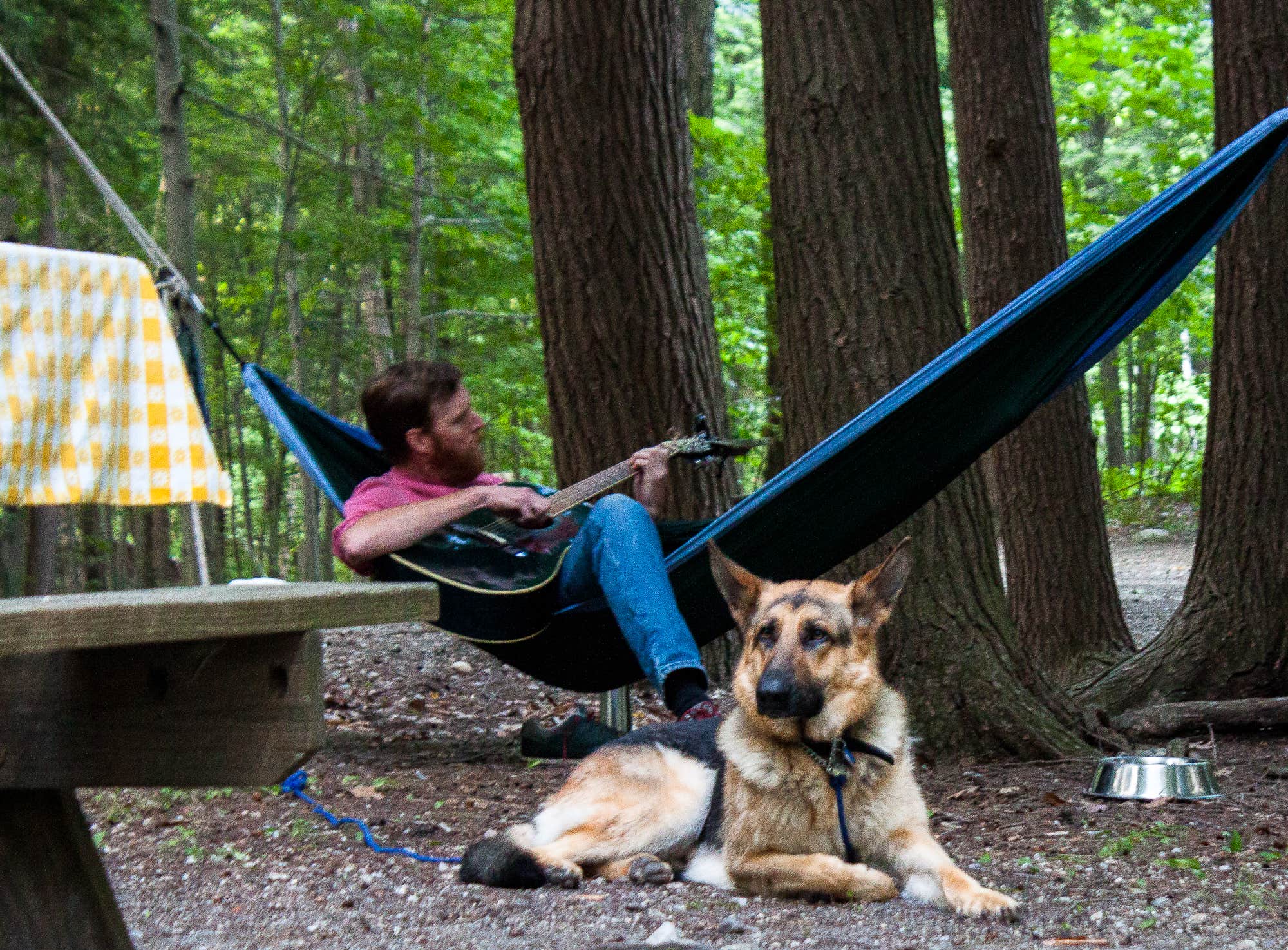 Tara S.'s photo of camping with pets at Emerald Lake State Park Campground near Townshend Lake