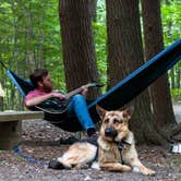 Review photo of Emerald Lake State Park Campground by Tara S., September 29, 2017