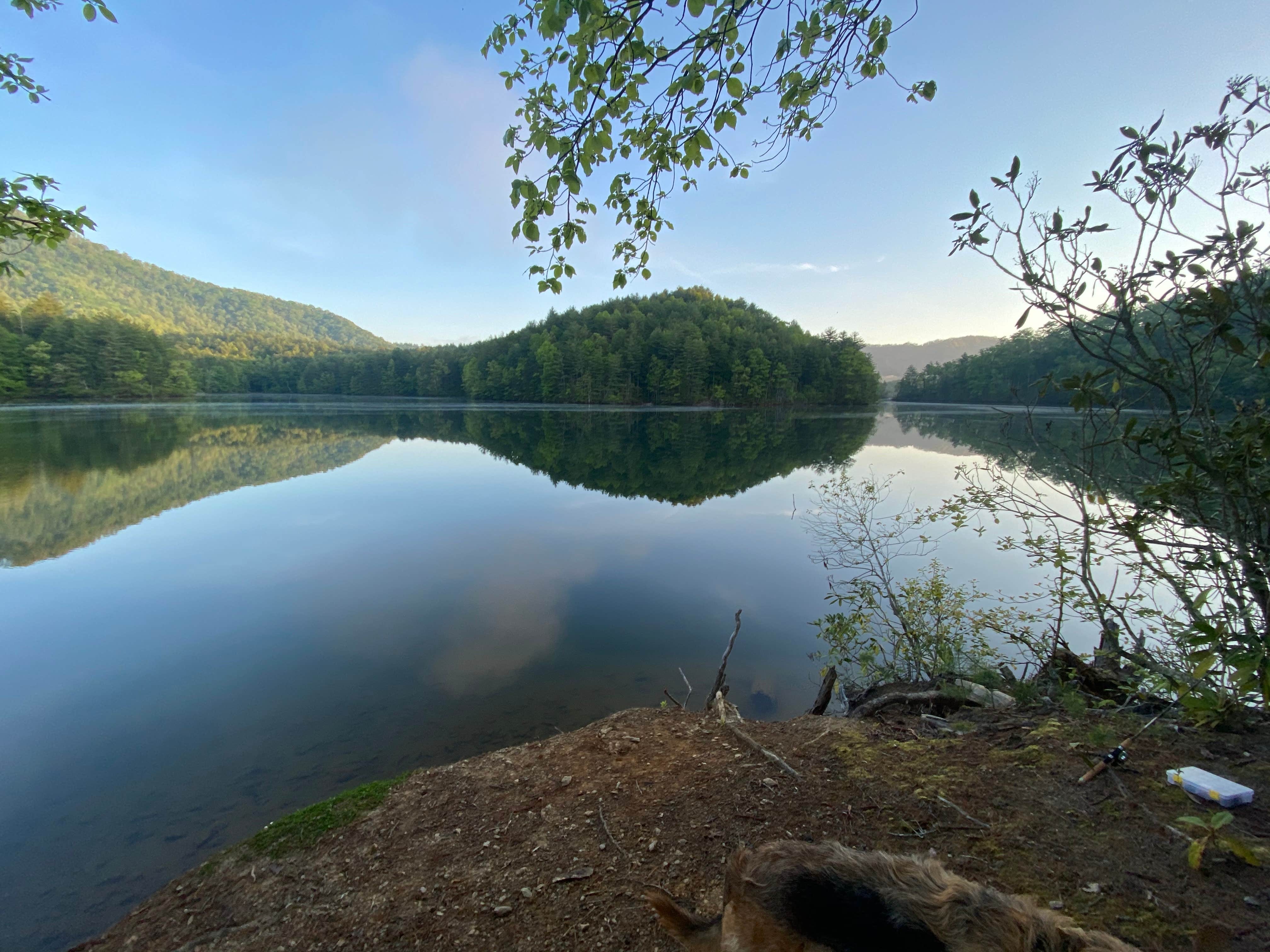 Andy S.'s photo of a dispersed camping area at Lake Santeetlah Dispersed near Lenoir City, TN
