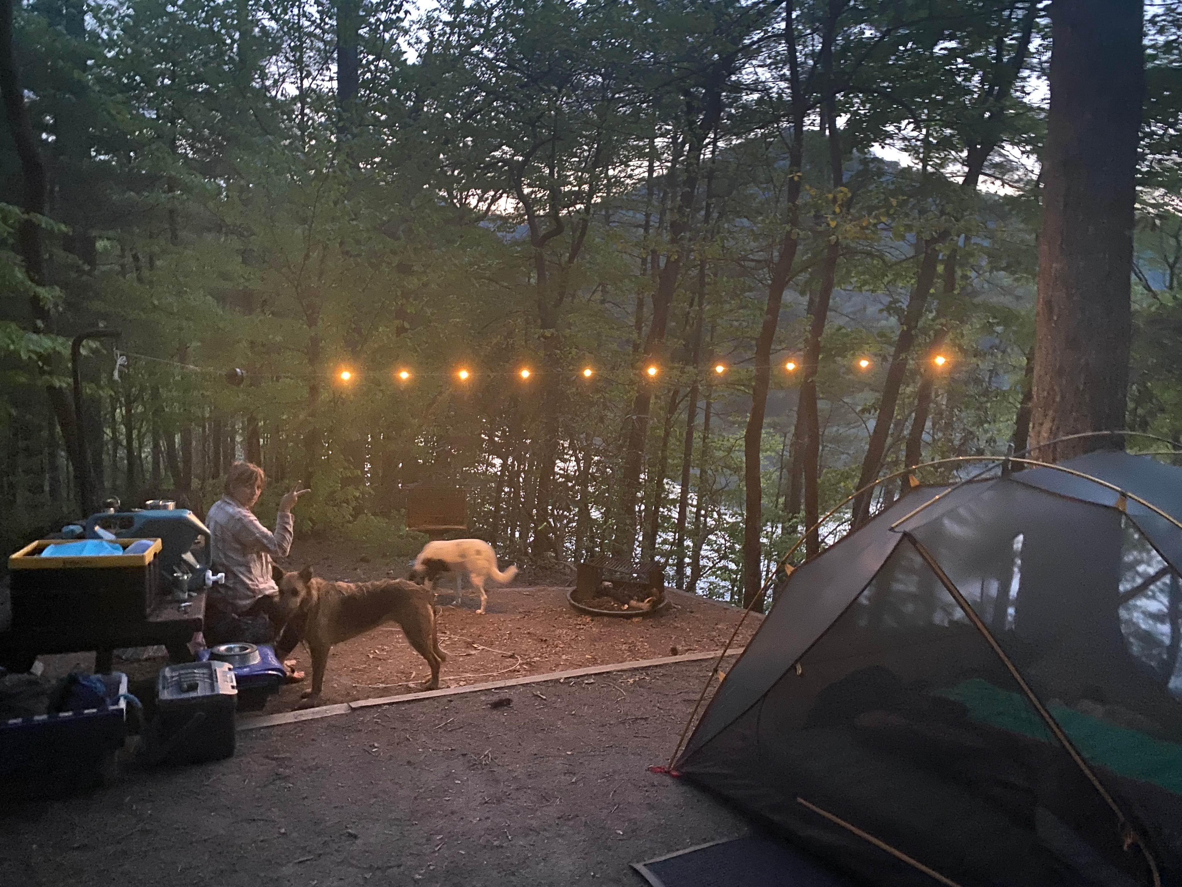 Andy S.'s photo at Lake Santeetlah Dispersed near Robbinsville, NC