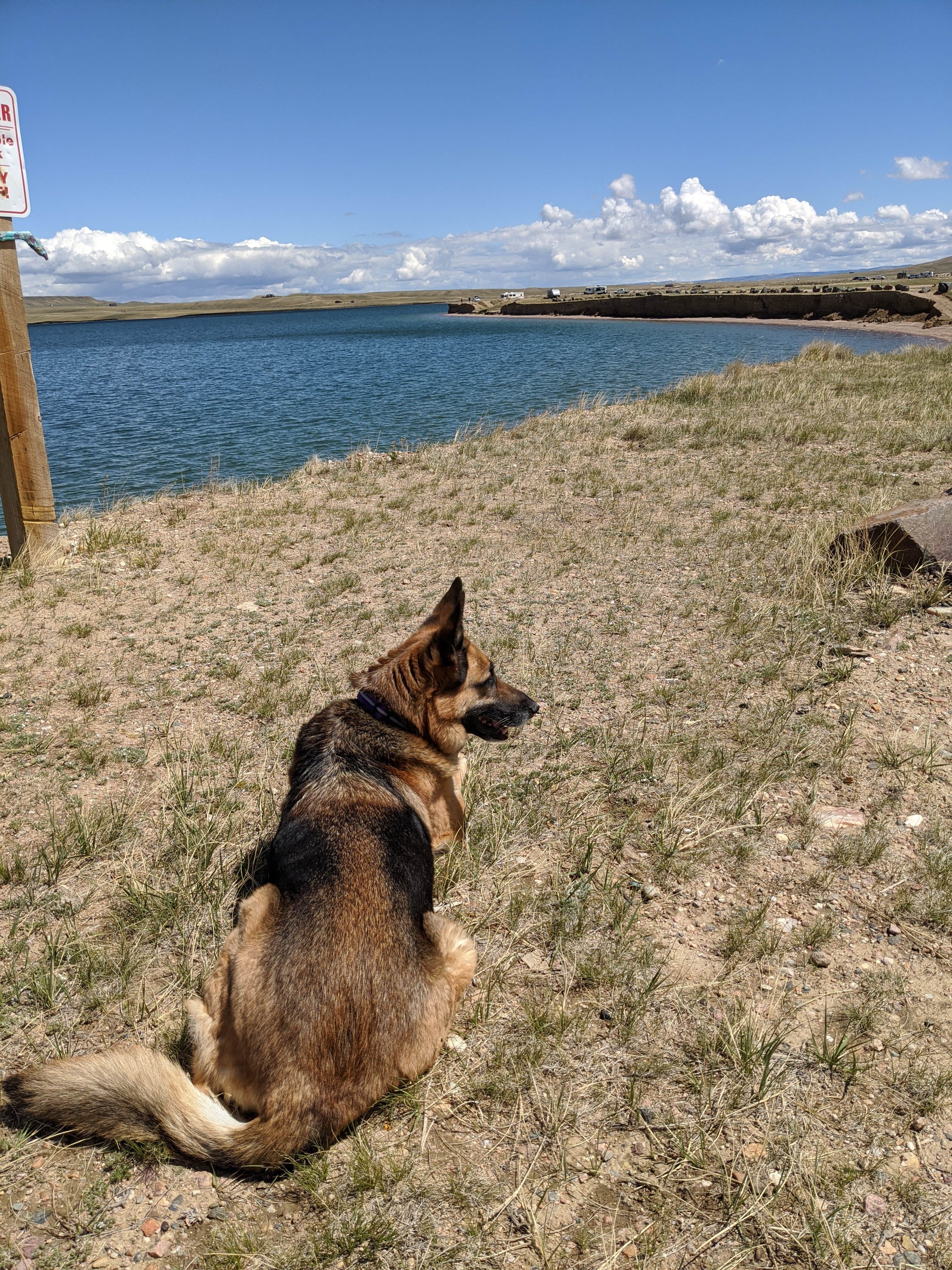 Megan V.'s photo of camping with pets at Lake Hattie Public Access Area near Laramie, WY