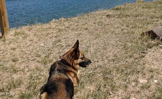 Megan V.'s photo of camping with pets at Lake Hattie Public Access Area near Elk Mountain, WY