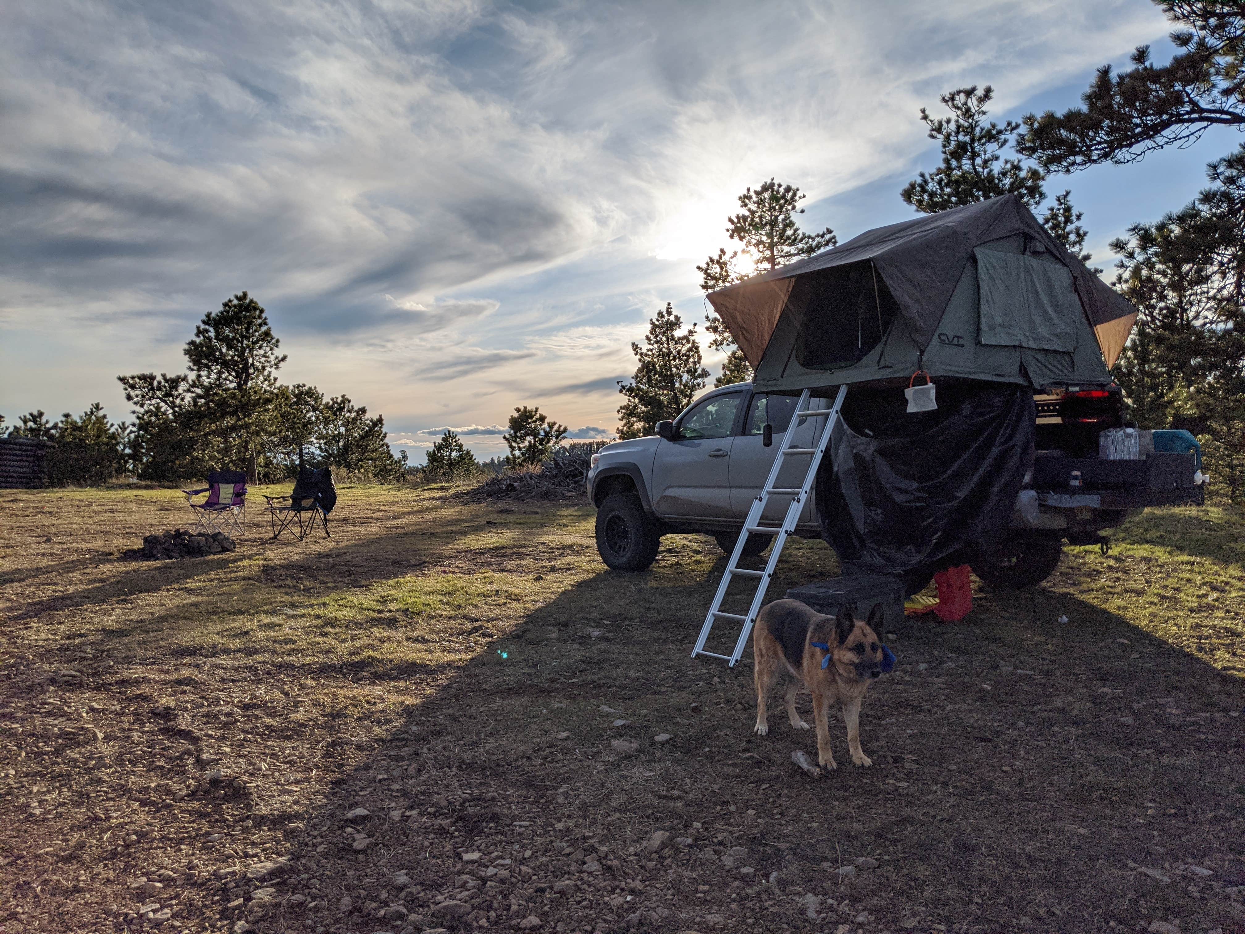 Megan V.'s photo of camping with pets at Reuter Campground near Devils Tower, WY