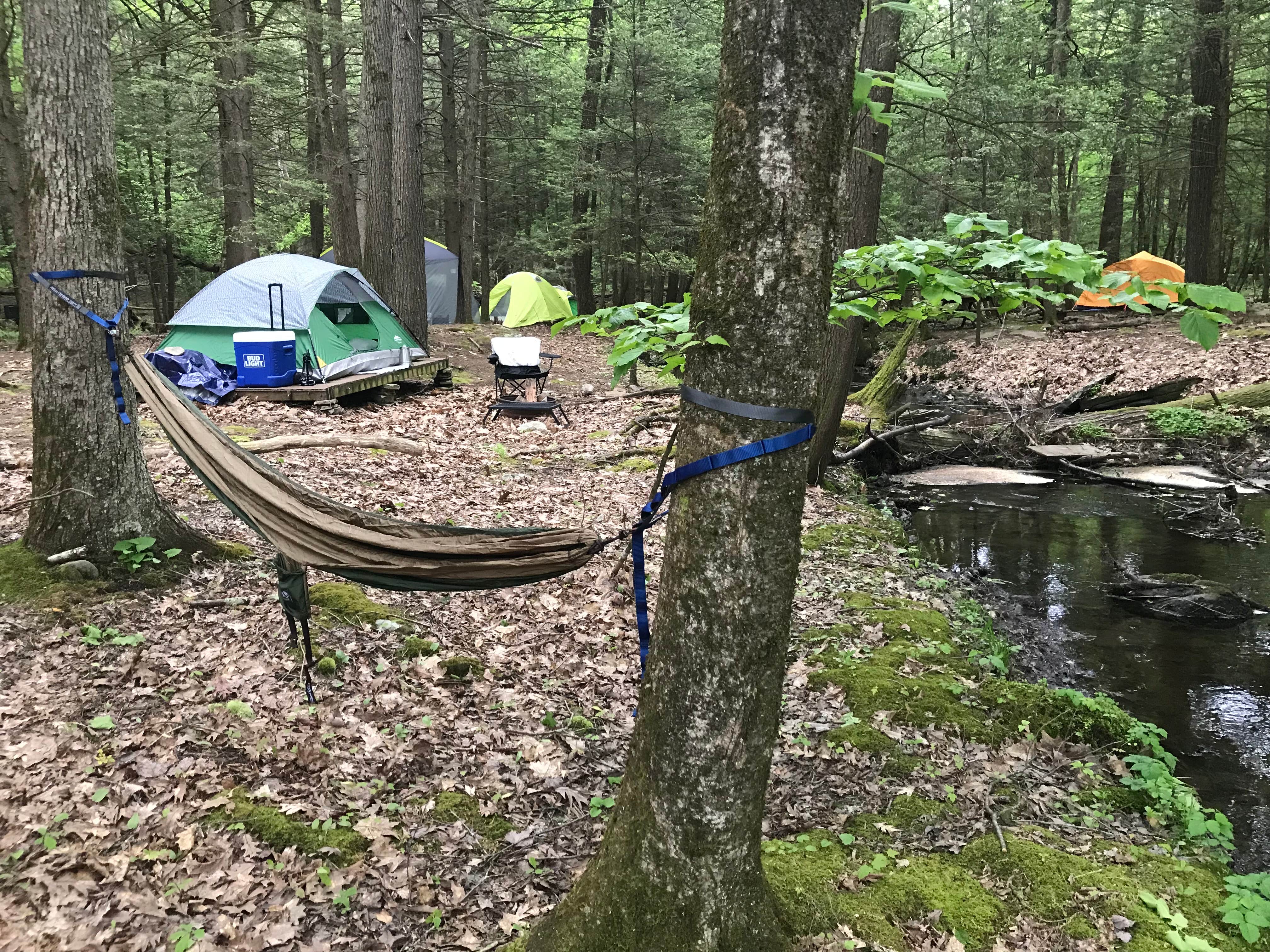 Anthony P.'s photo at Sohi Campground near Accord, NY