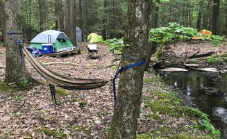Anthony P.'s photo at Sohi Campground near Kerhonkson, NY