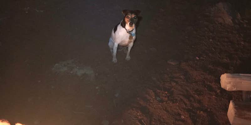 Camper submitted image from Moonshine Wash TH