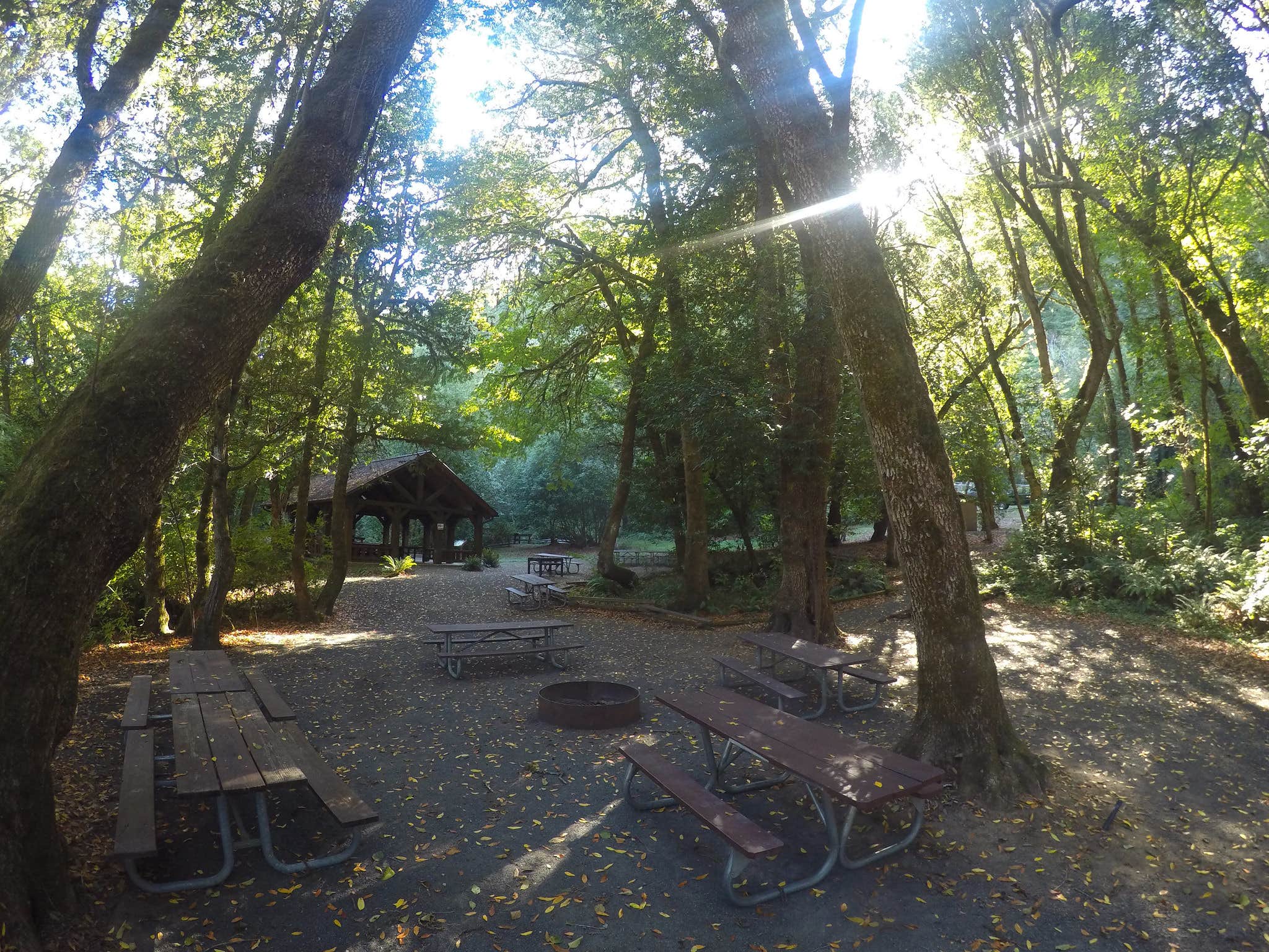 Tyee Campground (Umpqua River) The Dyrt