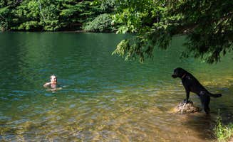 Tara S.'s photo of camping with pets at Emerald Lake State Park Campground near Fair Haven, VT