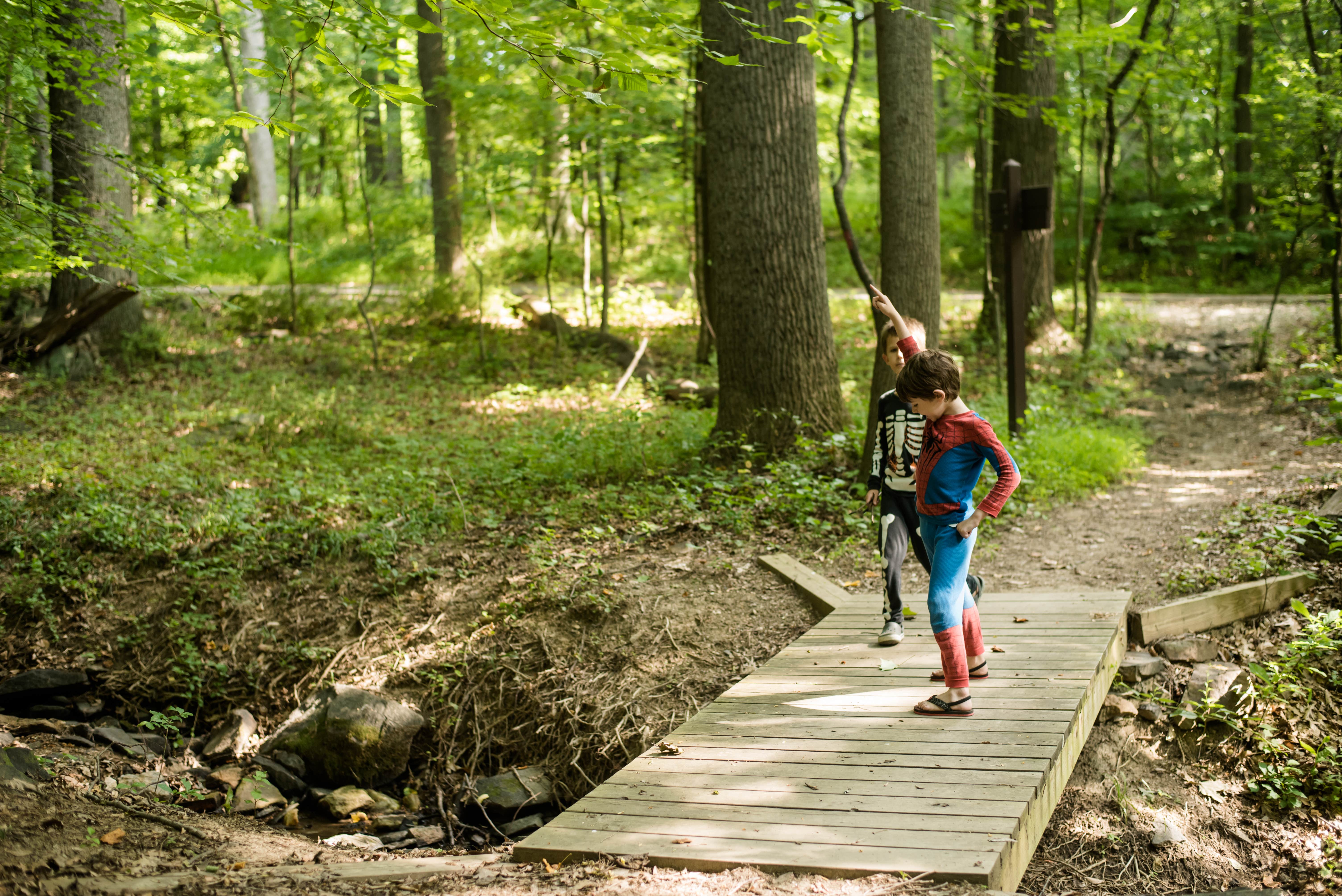 Camper submitted image from Hollofield Area Campground - 4