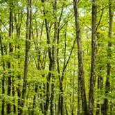 Review photo of Rocky Gap State Park Campground by Jennifer S., September 18, 2017