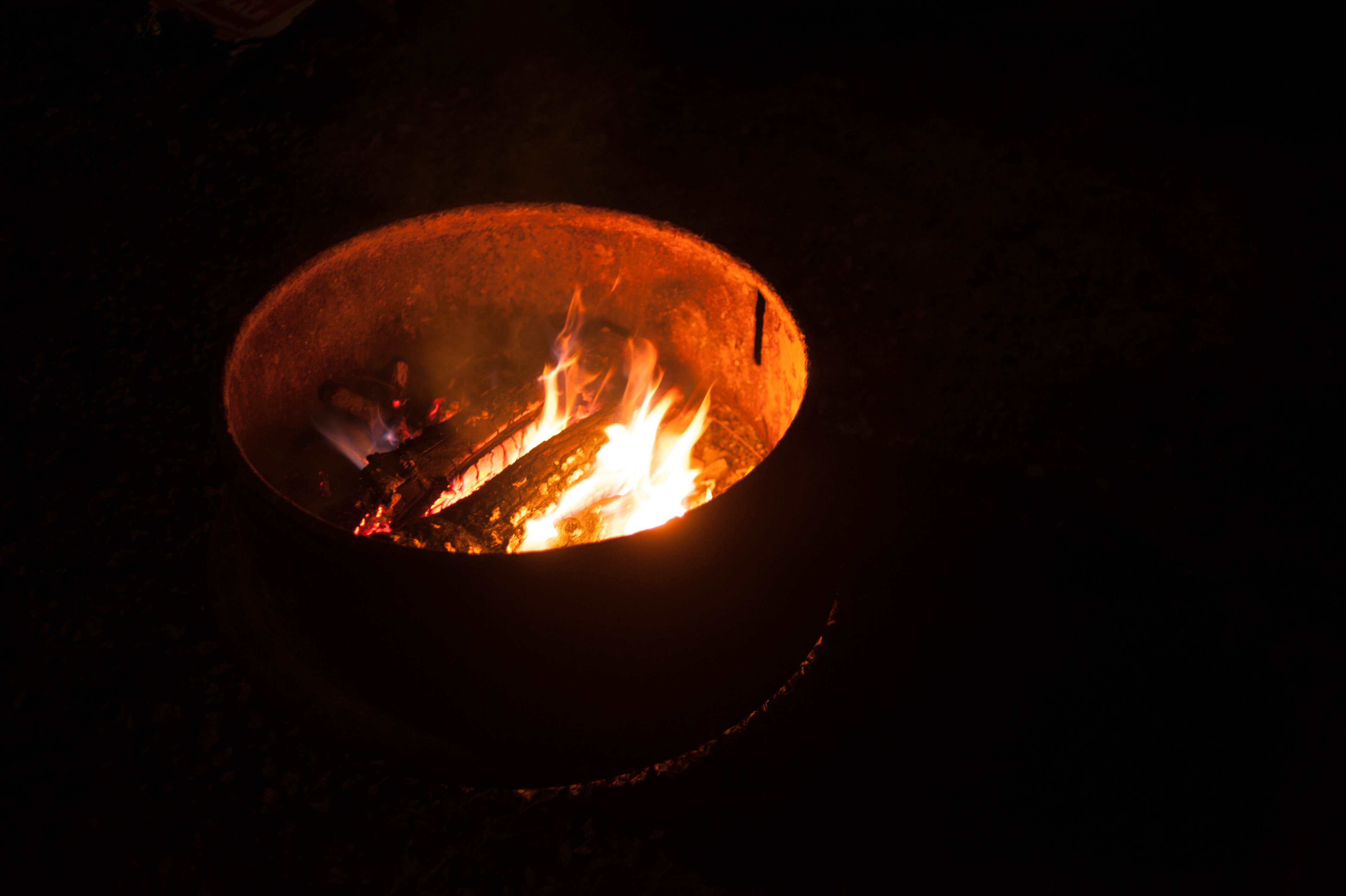 Camper submitted image from Knoebels Campground - 3