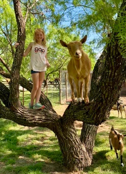 Camper submitted image from Yogi Bear's Jellystone Park Camp-Resort Wichita Falls - 4