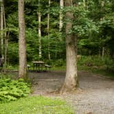 Review photo of Swallow Falls State Park Campground by Jennifer S., September 18, 2017
