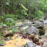 Review photo of Crabtree Falls Campground by Chris E., May 20, 2020