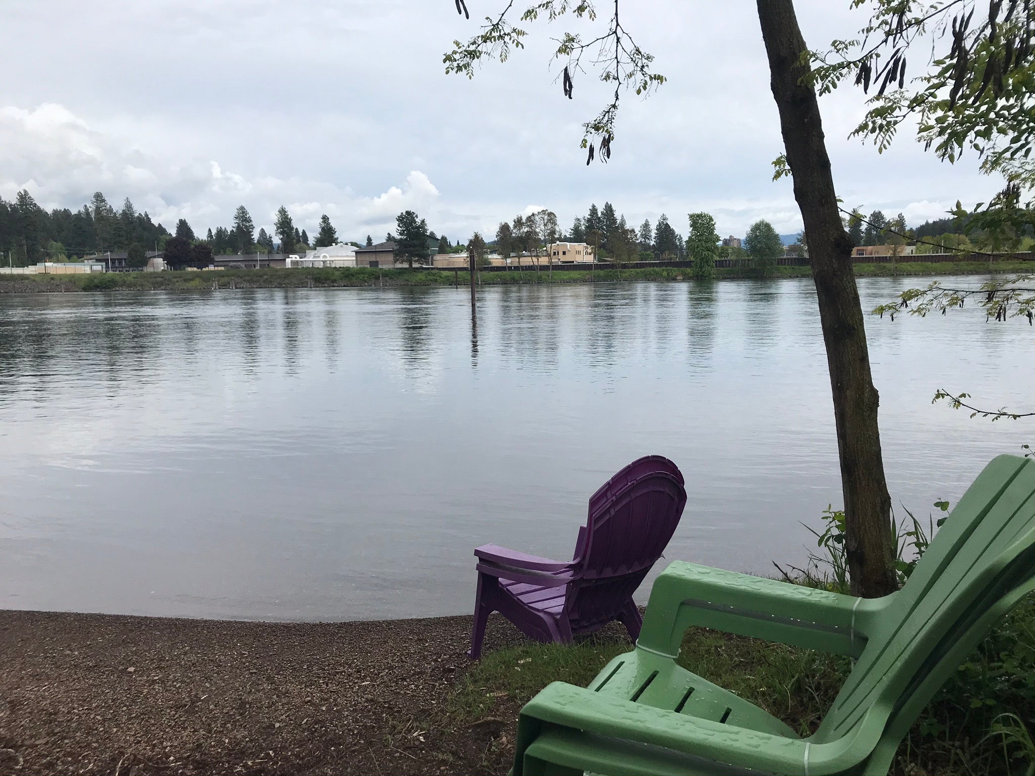 Camper submitted image from Blackwell Island RV Park - 4