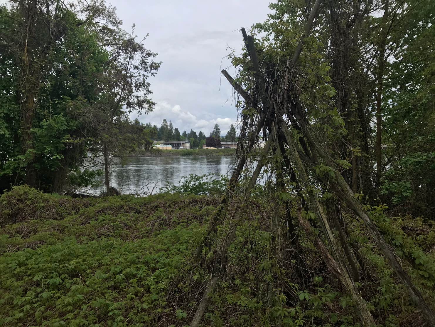 Blackwell Island RV Park Camping The Dyrt