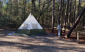 Dani M.'s photo at Fred Gannon Rocky Bayou State Park Campground near Santa Rosa Beach, FL