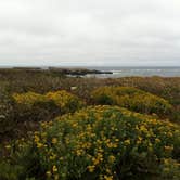 Review photo of Van Damme State Park Campground by Amanda D., June 30, 2016