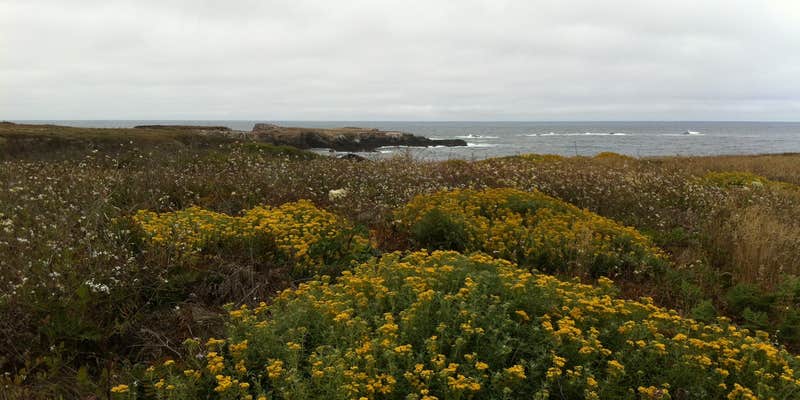 Camper submitted image from Van Damme State Park Campground