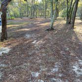 Review photo of Fred Gannon Rocky Bayou State Park by Dani M., May 20, 2020