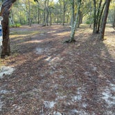 Review photo of Fred Gannon Rocky Bayou State Park Campground by Dani M., May 20, 2020