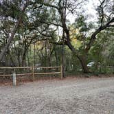 Review photo of Fred Gannon Rocky Bayou State Park Campground by Dani M., May 20, 2020