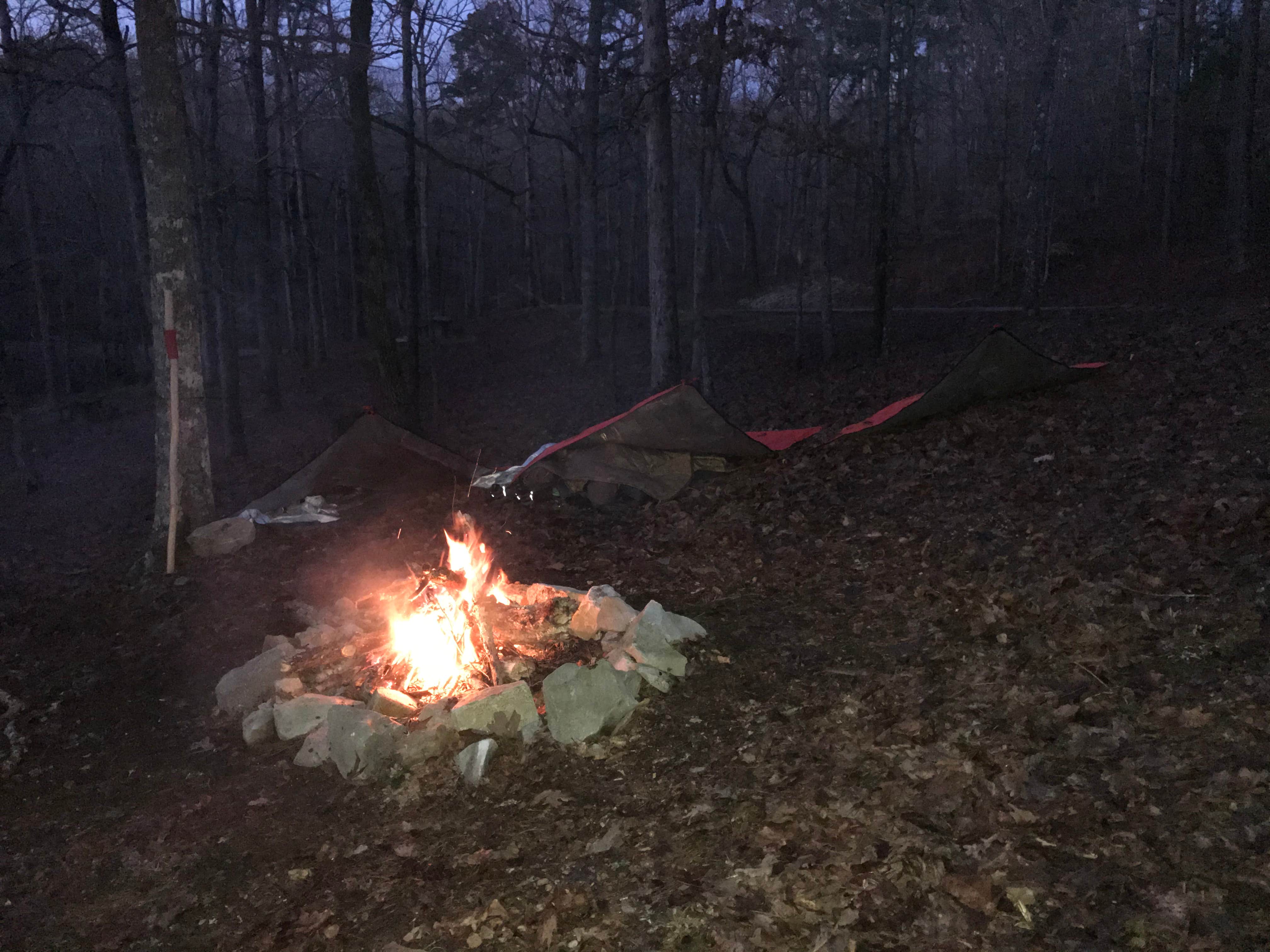 Tiger Scout S.'s photo at J.P. Coleman State Park Campground near Savannah, TN