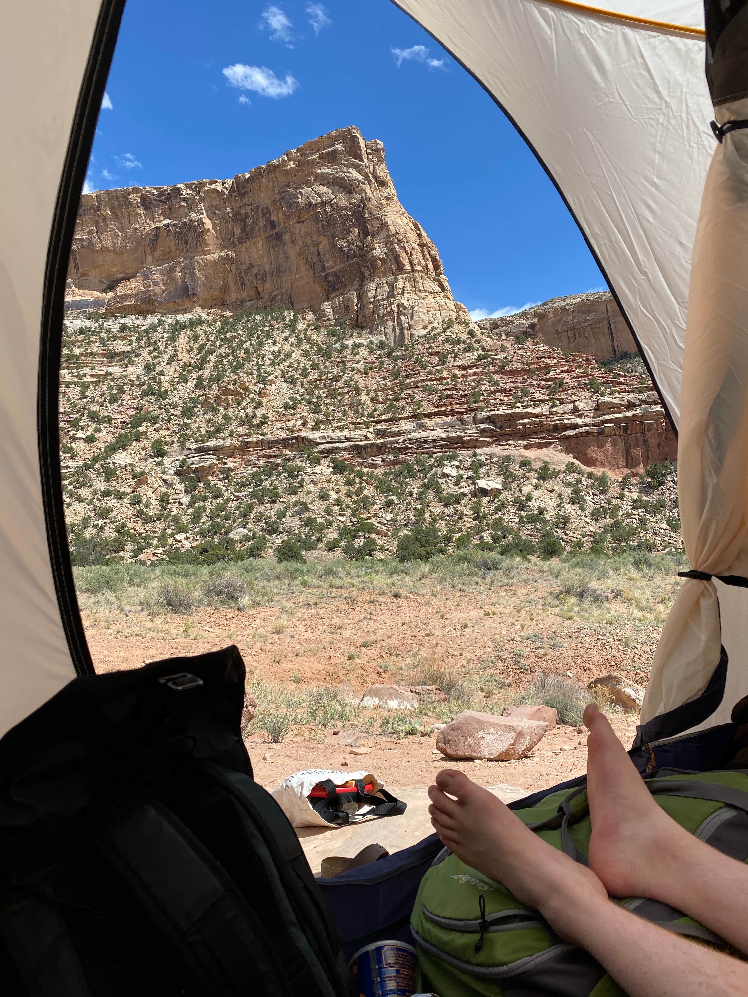 Thomas W.'s photo at Buckhorn Draw Campsite #29 near Huntington, UT