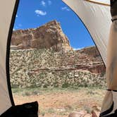 Review photo of Buckhorn Draw Campsite #29 by Thomas W., May 21, 2020