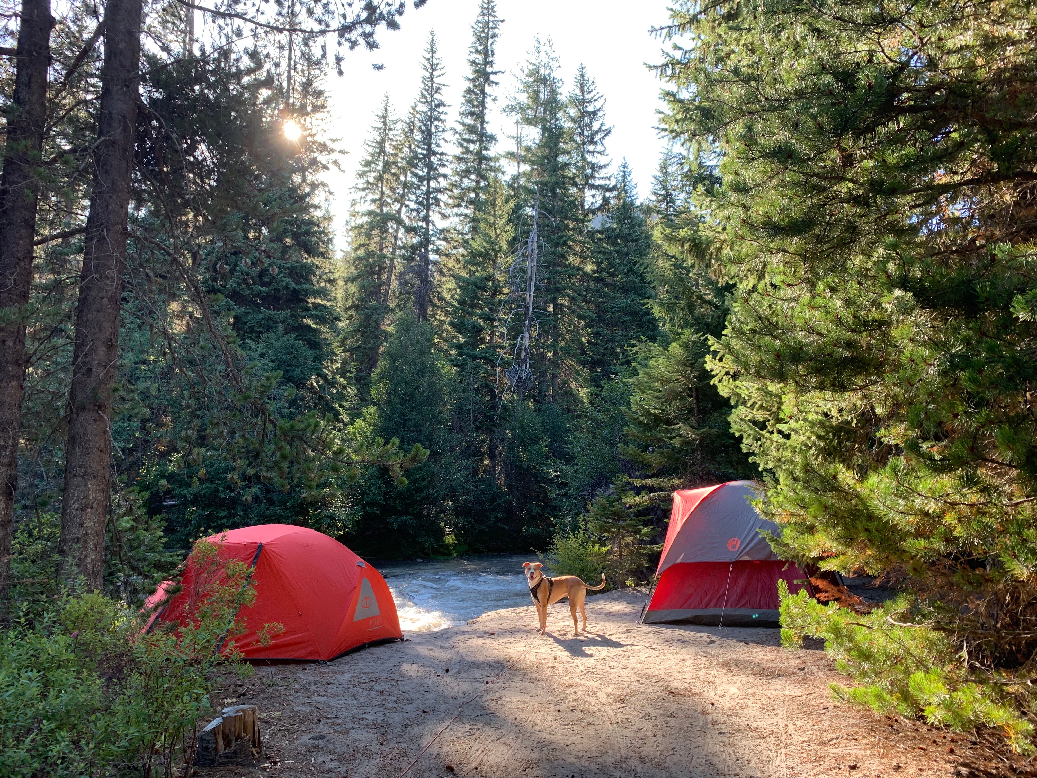 Best campground on Hood!