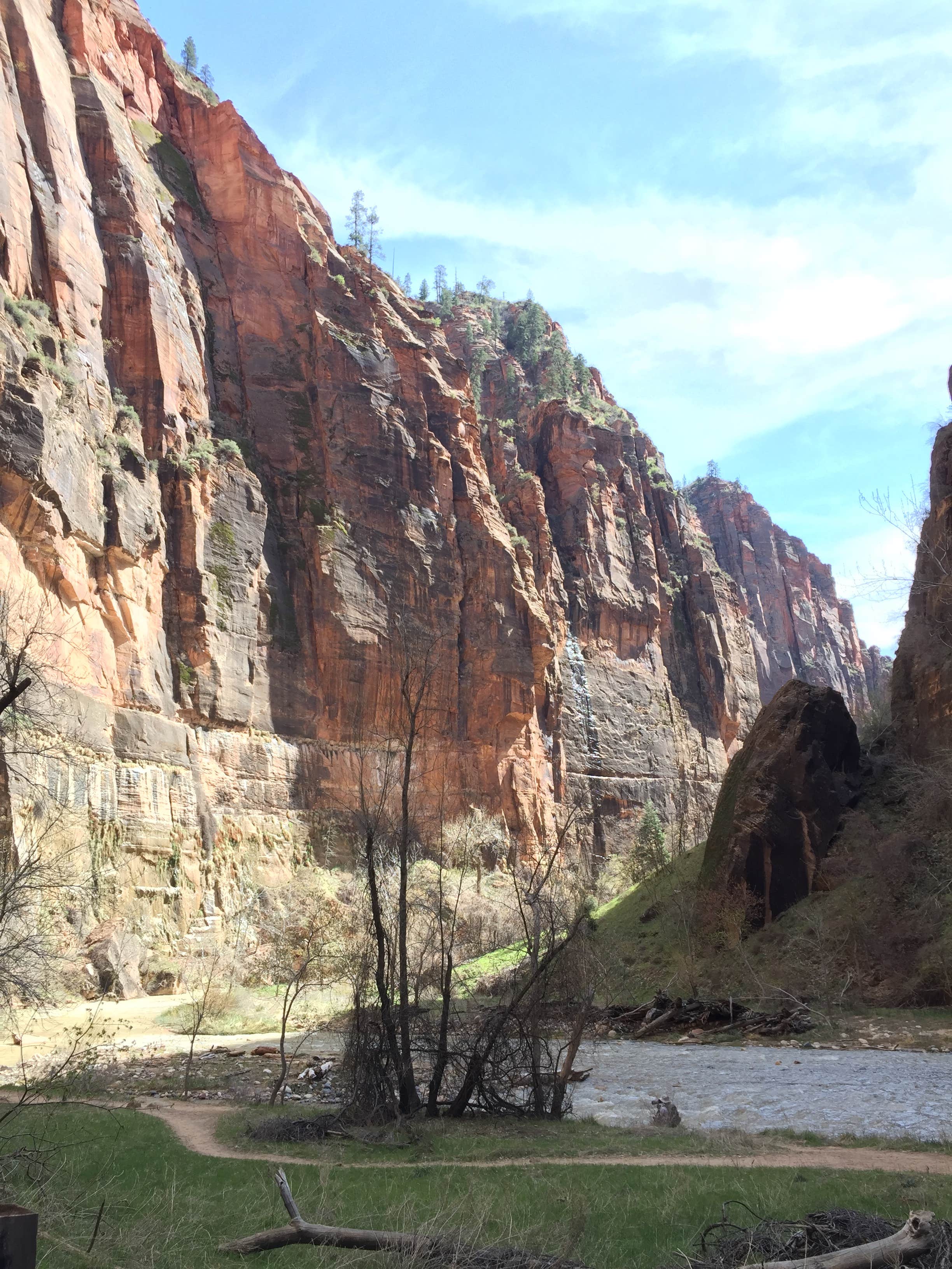 Camper submitted image from Zion Canyon Campground - 2
