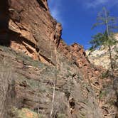 Review photo of Zion Canyon Campground by Amanda D., September 29, 2017