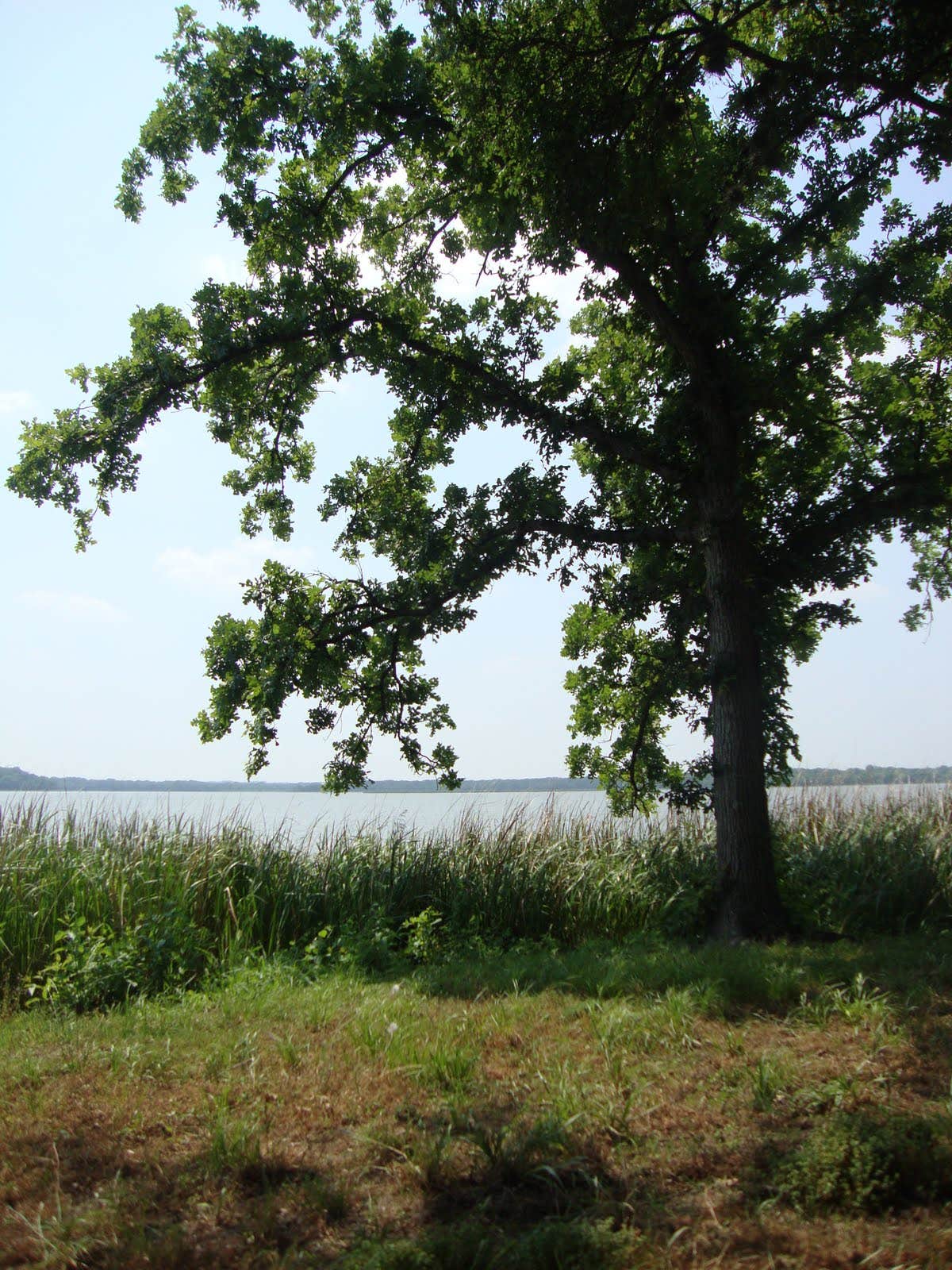 Camper submitted image from Fort Parker State Park Campground - 2