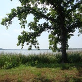 Review photo of Fort Parker State Park Campground by Gretchen N., June 30, 2016