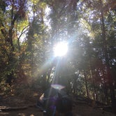 Review photo of Palomar Mountain State Park Campground by Lindsey W., September 3, 2017