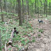 Review photo of Monte Sano State Park Campground by Shelly S., June 30, 2016
