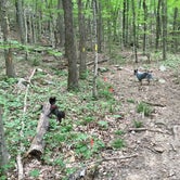 Review photo of Monte Sano State Park Campground by Shelly S., June 30, 2016