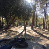 Review photo of Hurkey Creek Park by Lindsey W., September 29, 2017