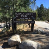 Review photo of Hurkey Creek Park by Lindsey W., September 29, 2017